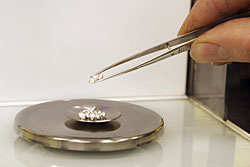 Weighing silver beads to determine silver assay.